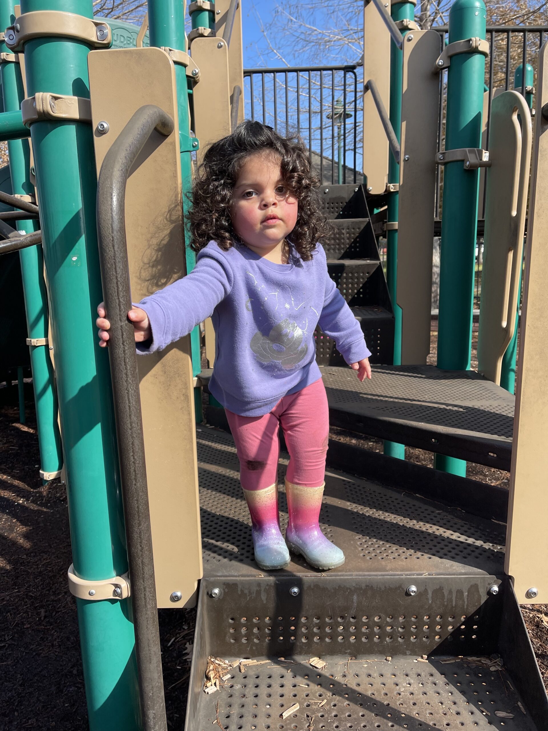 Feb 3rd, 2023 Newsletter - Danielle Nava